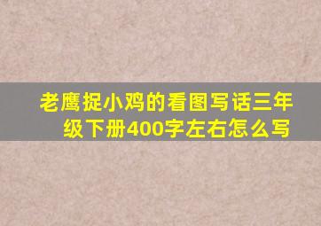 老鹰捉小鸡的看图写话三年级下册400字左右怎么写