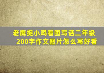 老鹰捉小鸡看图写话二年级200字作文图片怎么写好看