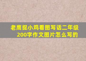 老鹰捉小鸡看图写话二年级200字作文图片怎么写的