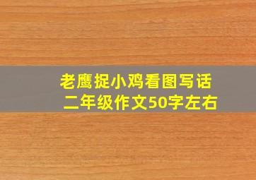 老鹰捉小鸡看图写话二年级作文50字左右