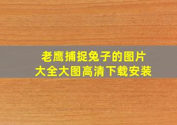 老鹰捕捉兔子的图片大全大图高清下载安装