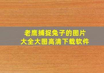 老鹰捕捉兔子的图片大全大图高清下载软件