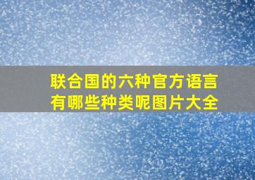 联合国的六种官方语言有哪些种类呢图片大全