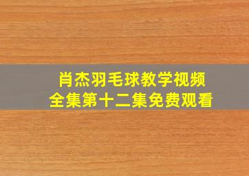 肖杰羽毛球教学视频全集第十二集免费观看