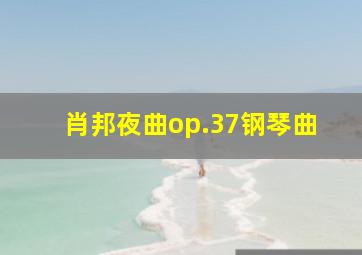 肖邦夜曲op.37钢琴曲