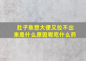 肚子胀想大便又拉不出来是什么原因呢吃什么药