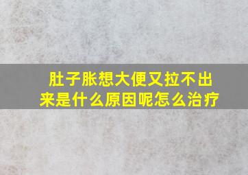 肚子胀想大便又拉不出来是什么原因呢怎么治疗