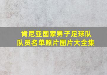 肯尼亚国家男子足球队队员名单照片图片大全集