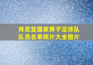 肯尼亚国家男子足球队队员名单照片大全图片