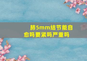 肺5mm结节能自愈吗要紧吗严重吗