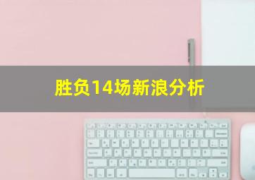 胜负14场新浪分析