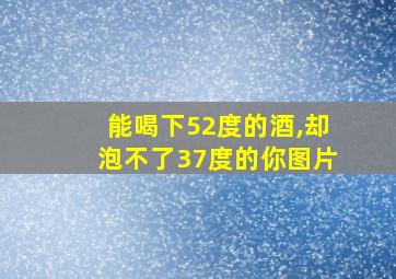 能喝下52度的酒,却泡不了37度的你图片