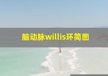 脑动脉willis环简图