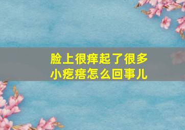 脸上很痒起了很多小疙瘩怎么回事儿