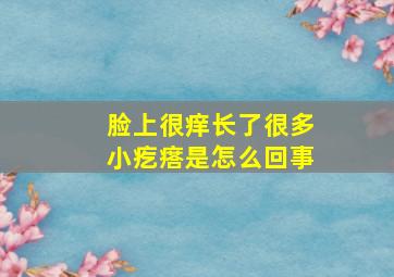 脸上很痒长了很多小疙瘩是怎么回事