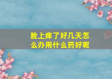 脸上痒了好几天怎么办用什么药好呢