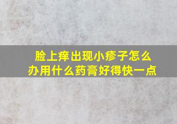 脸上痒出现小疹子怎么办用什么药膏好得快一点