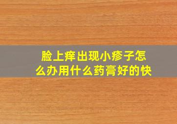 脸上痒出现小疹子怎么办用什么药膏好的快