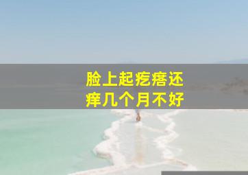 脸上起疙瘩还痒几个月不好