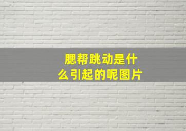 腮帮跳动是什么引起的呢图片