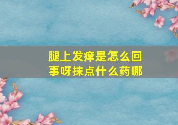 腿上发痒是怎么回事呀抹点什么药哪