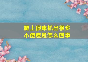 腿上很痒抓出很多小痘痘是怎么回事