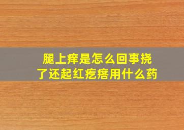 腿上痒是怎么回事挠了还起红疙瘩用什么药