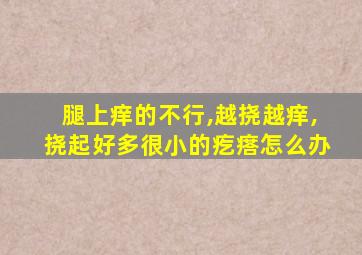 腿上痒的不行,越挠越痒,挠起好多很小的疙瘩怎么办