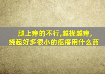 腿上痒的不行,越挠越痒,挠起好多很小的疙瘩用什么药