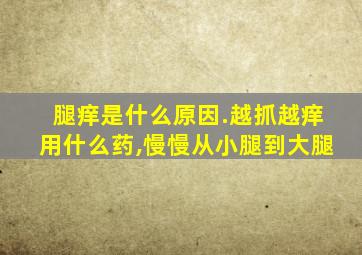 腿痒是什么原因.越抓越痒用什么药,慢慢从小腿到大腿