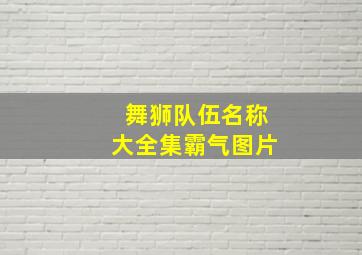 舞狮队伍名称大全集霸气图片