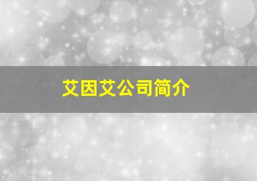 艾因艾公司简介