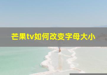 芒果tv如何改变字母大小