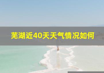 芜湖近40天天气情况如何