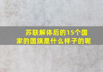 苏联解体后的15个国家的国旗是什么样子的呢