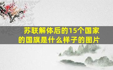 苏联解体后的15个国家的国旗是什么样子的图片