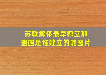 苏联解体最早独立加盟国是谁建立的呢图片