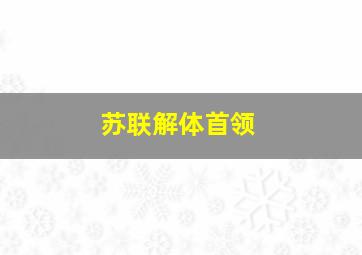 苏联解体首领