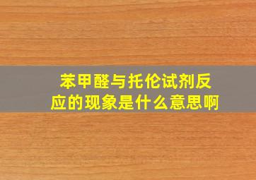 苯甲醛与托伦试剂反应的现象是什么意思啊