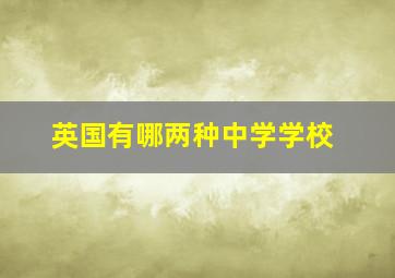 英国有哪两种中学学校