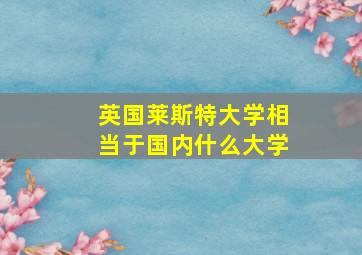 英国莱斯特大学相当于国内什么大学