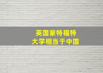 英国蒙特福特大学相当于中国