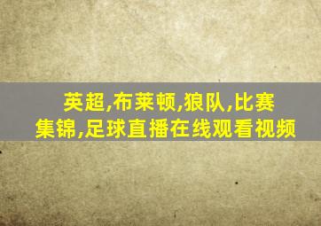 英超,布莱顿,狼队,比赛集锦,足球直播在线观看视频