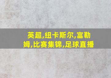 英超,纽卡斯尔,富勒姆,比赛集锦,足球直播