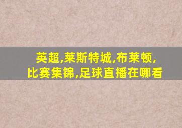 英超,莱斯特城,布莱顿,比赛集锦,足球直播在哪看