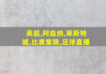 英超,阿森纳,莱斯特城,比赛集锦,足球直播