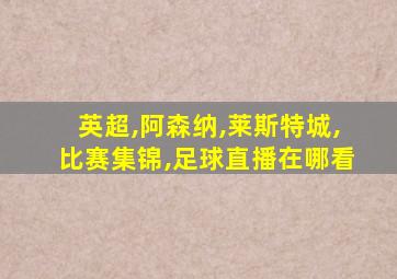 英超,阿森纳,莱斯特城,比赛集锦,足球直播在哪看