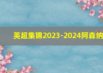 英超集锦2023-2024阿森纳