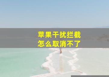 苹果干扰拦截怎么取消不了