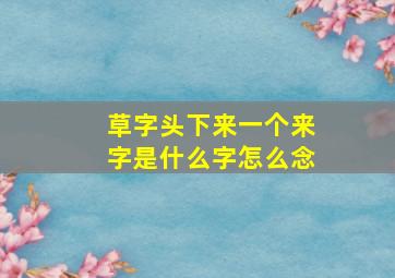 草字头下来一个来字是什么字怎么念